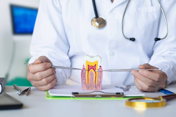 Best Emergency Dental Services for Seniors in Nett, MO